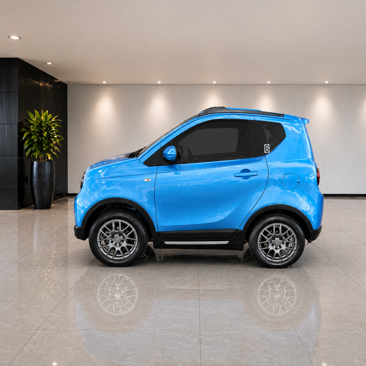 CCR-006 golf cart rental