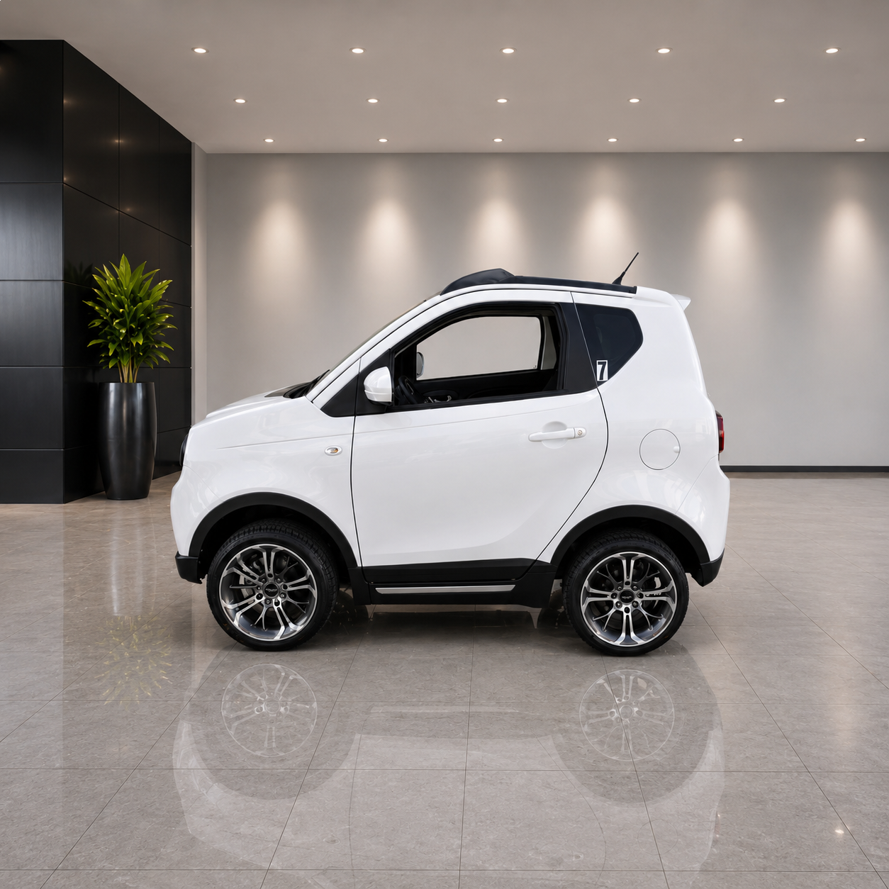 CCR-007 golf cart rental