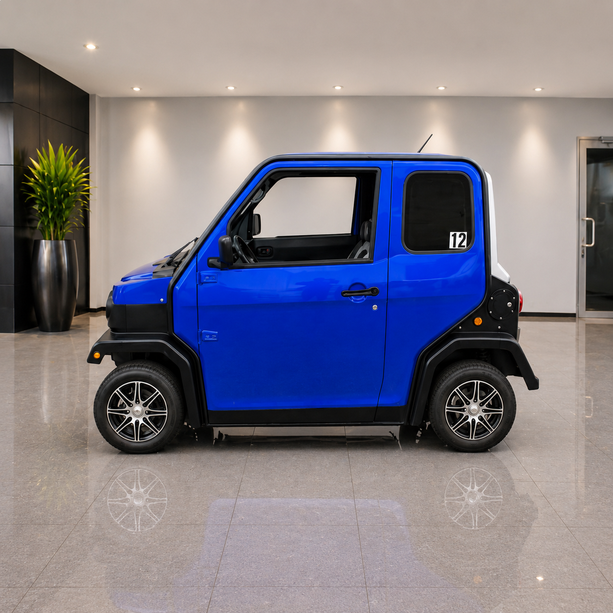 CCR-012 golf cart rental